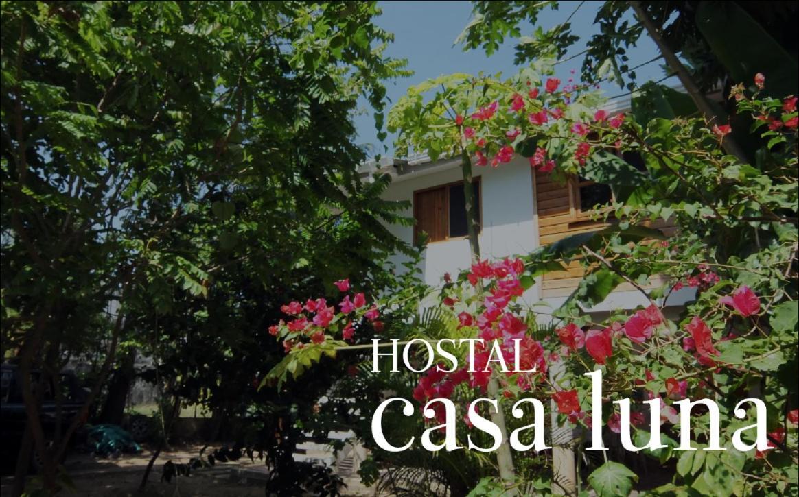 Hostal Casaluna San Andres Extérieur photo
