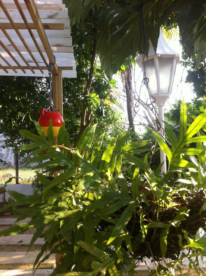 Hostal Casaluna San Andres Extérieur photo